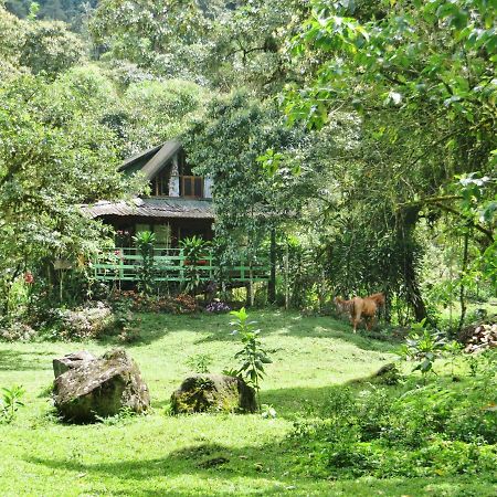 Mindo Eco Chalet Con Rio Y Cascada Exterior foto