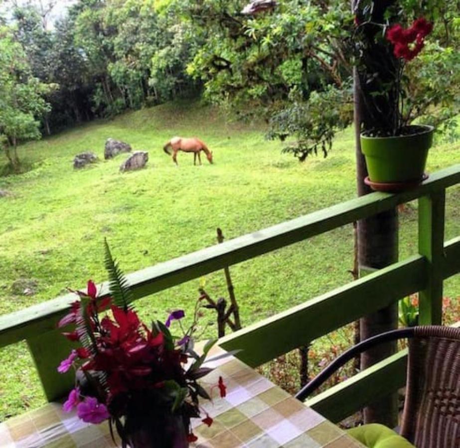 Mindo Eco Chalet Con Rio Y Cascada Exterior foto
