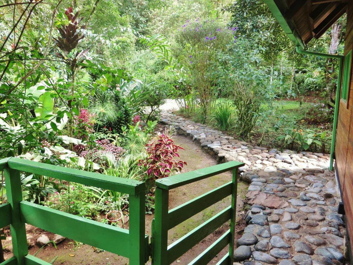 Mindo Eco Chalet Con Rio Y Cascada Exterior foto