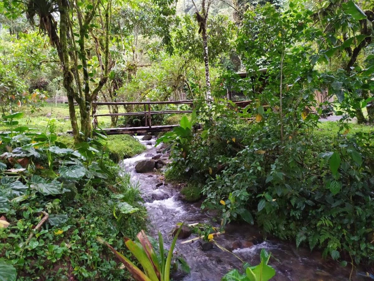 Mindo Eco Chalet Con Rio Y Cascada Exterior foto