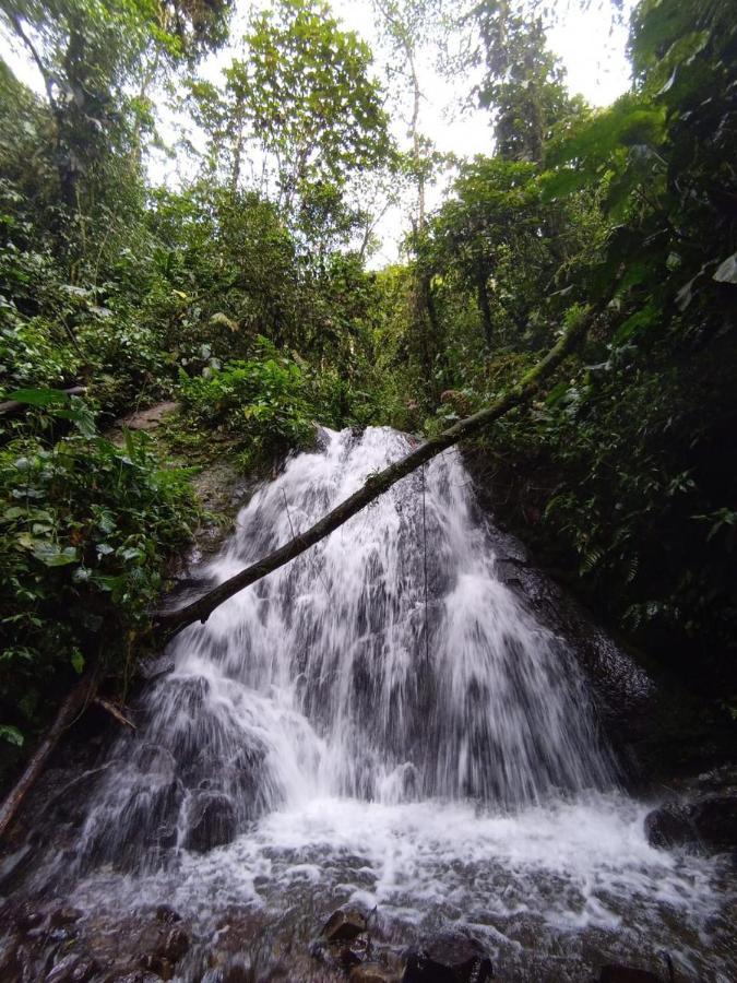 Mindo Eco Chalet Con Rio Y Cascada Exterior foto