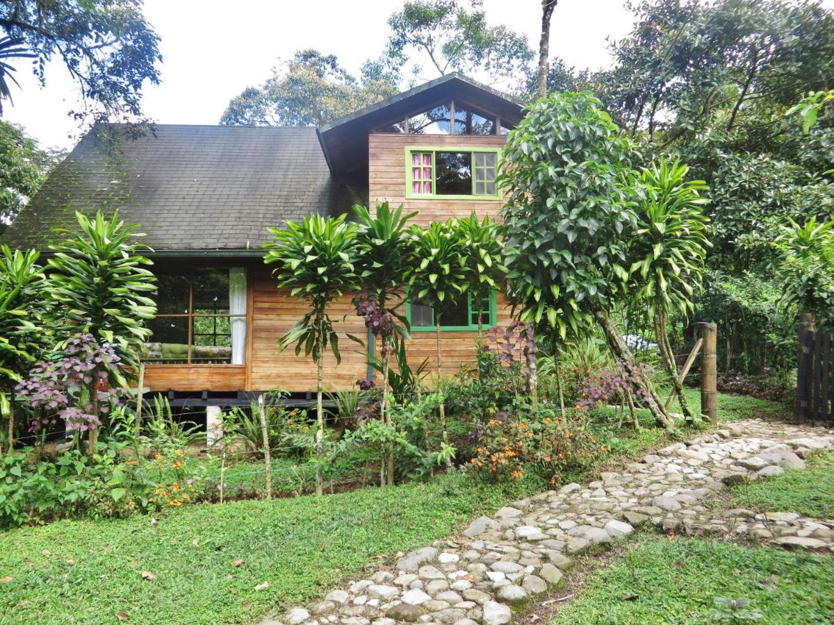 Mindo Eco Chalet Con Rio Y Cascada Exterior foto