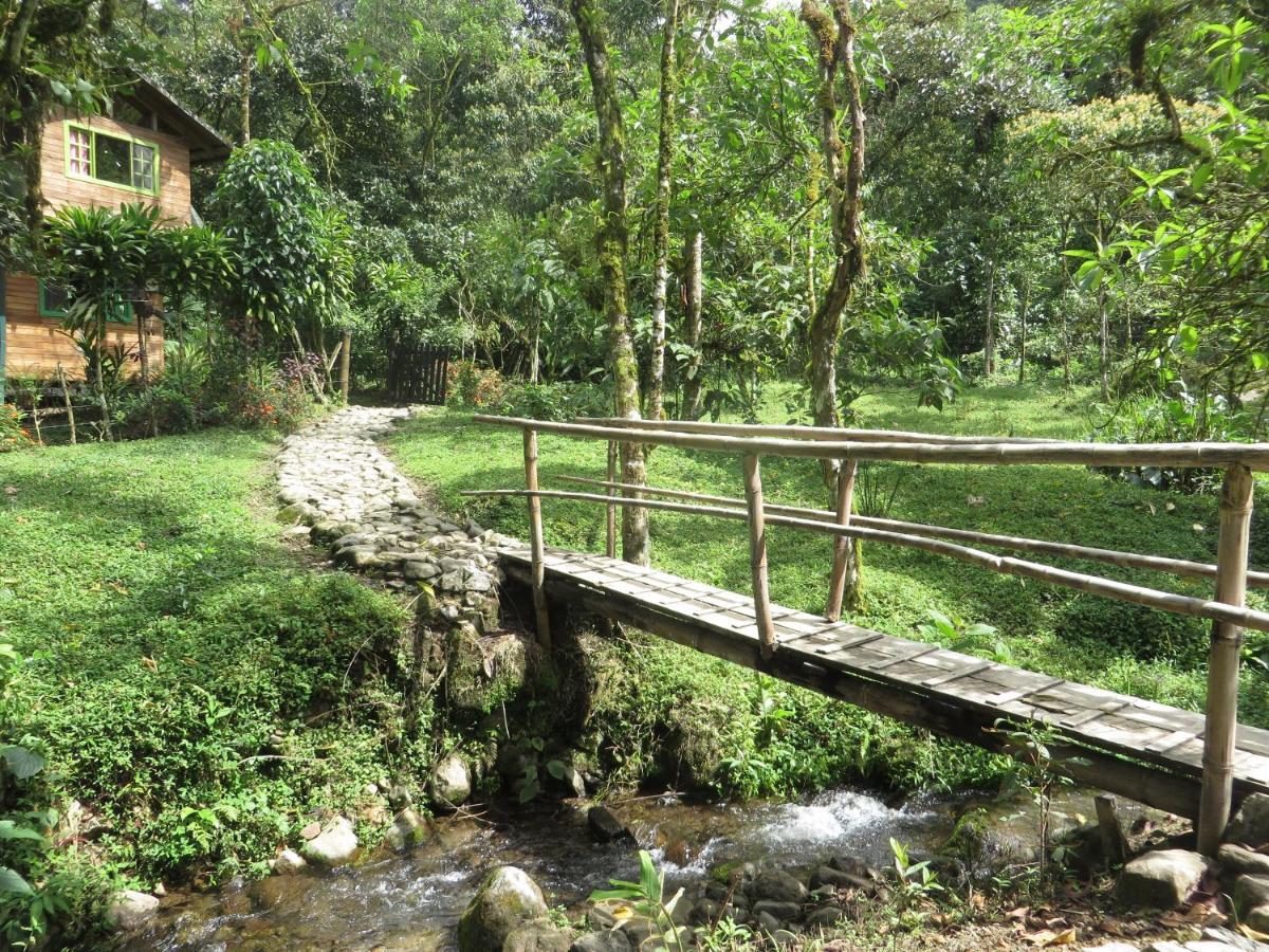 Mindo Eco Chalet Con Rio Y Cascada Exterior foto