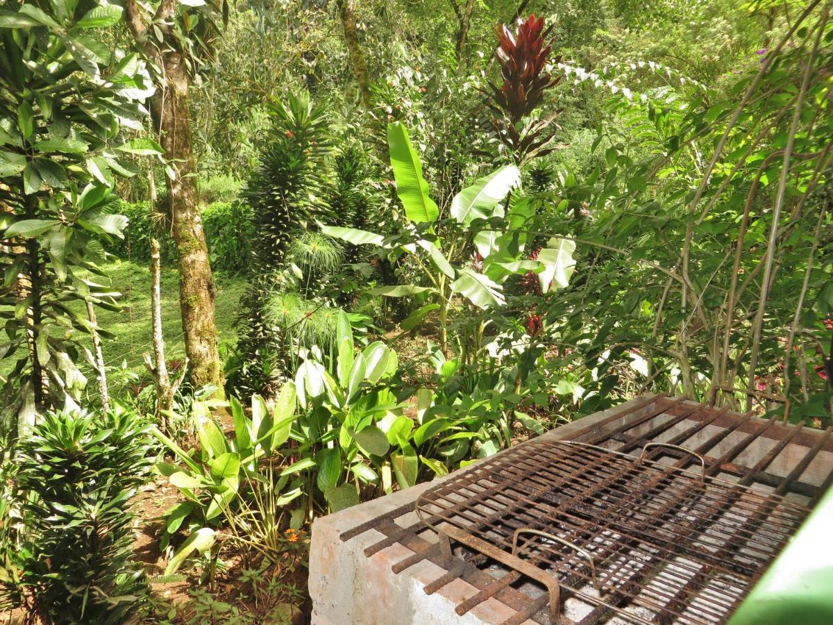 Mindo Eco Chalet Con Rio Y Cascada Exterior foto